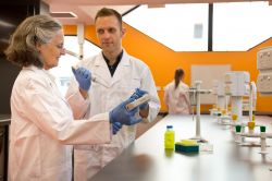 Researchers working in a lab