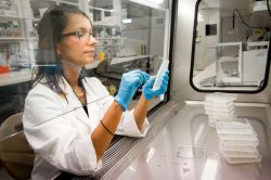 Researcher working in a lab