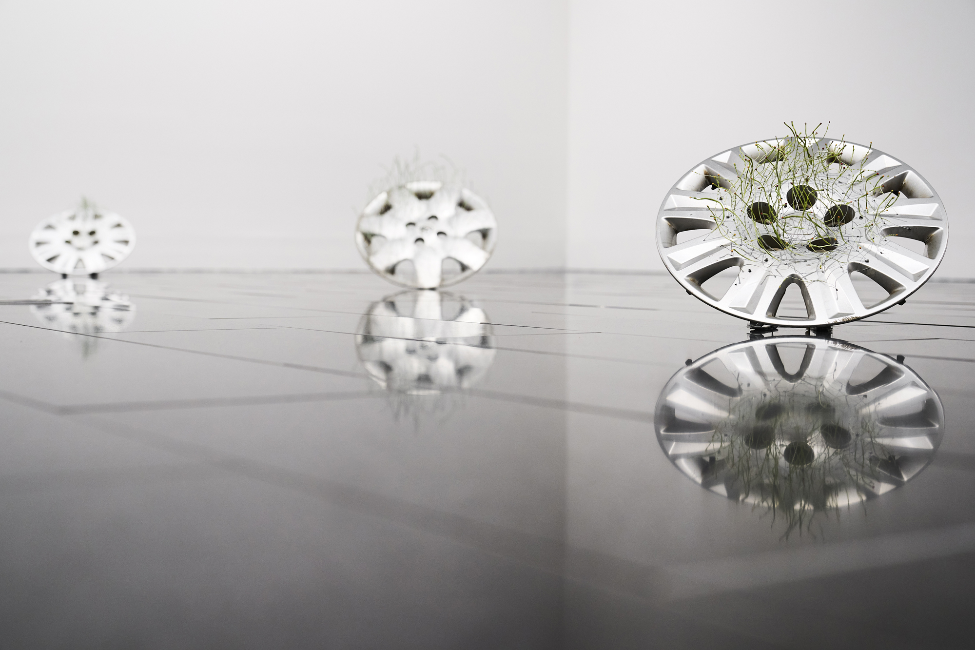 Rachelle Koumouris documentation