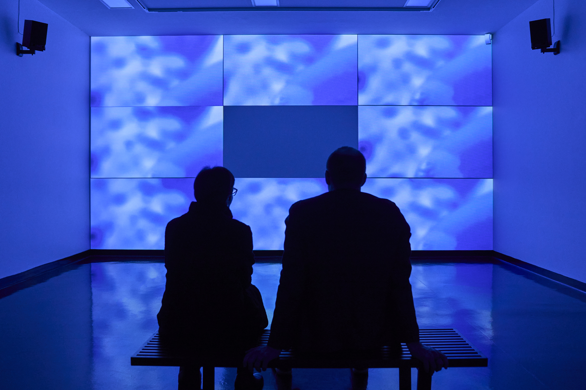 Christina Carey documentation