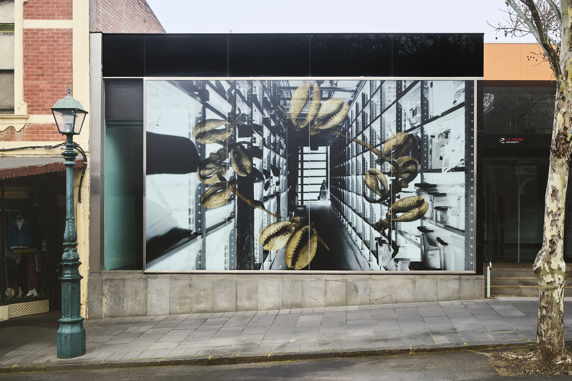 photograph of installation on glass facade of La Trobe Art Institute