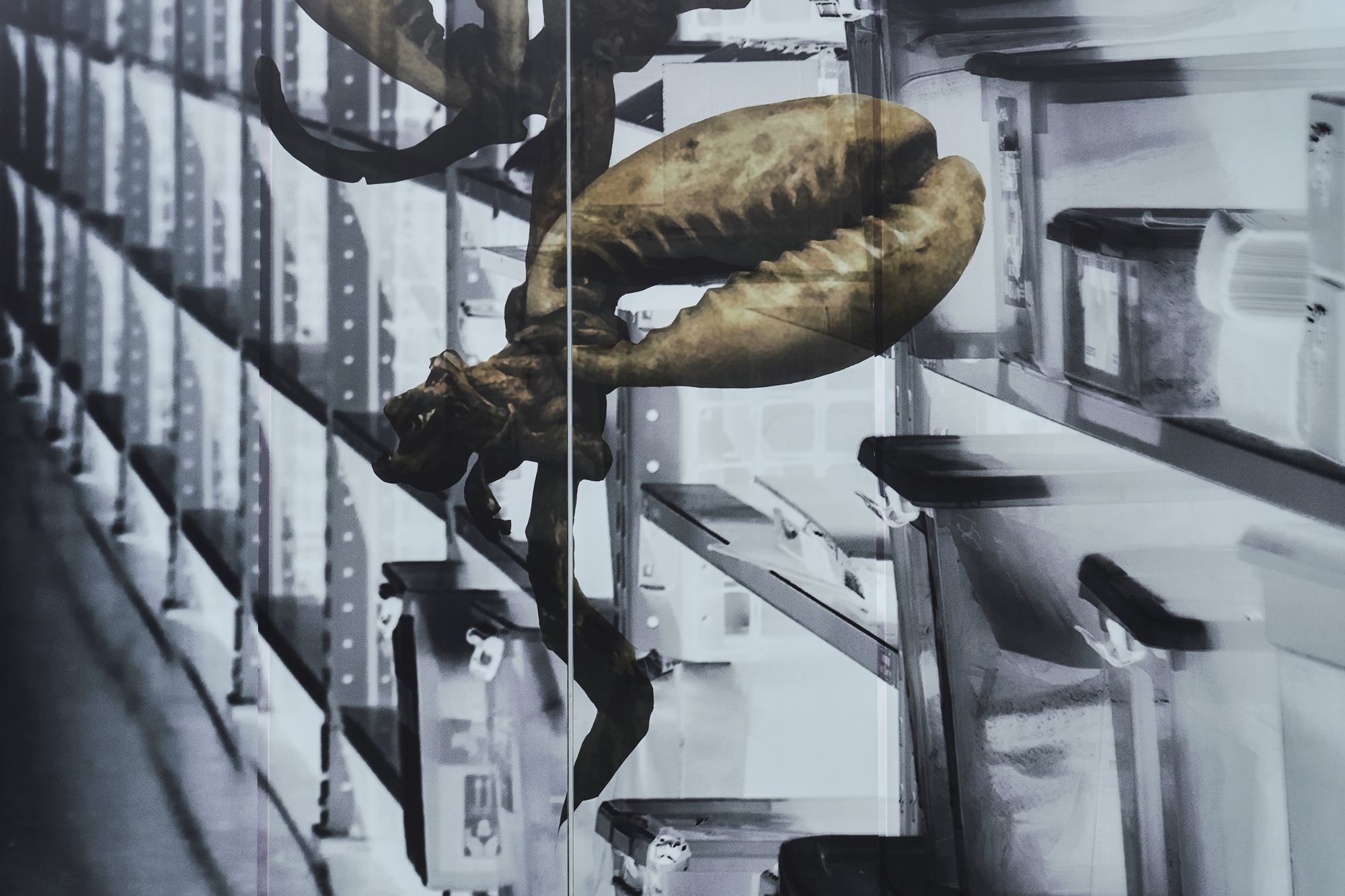 photograph of installation on glass facade of La Trobe Art Institute