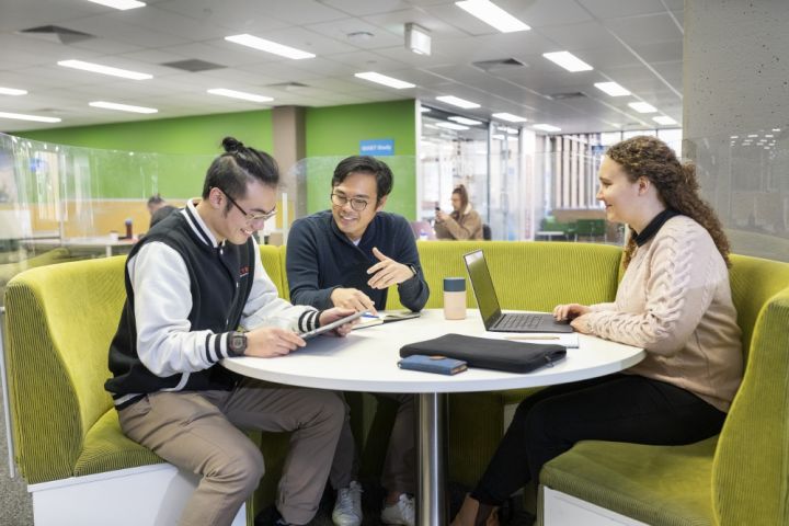 Students studying in a group in the Borchardt Library