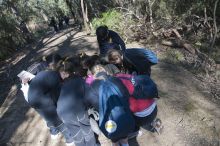 Little Creatures BioBlitz Little Creatures BioBlitz