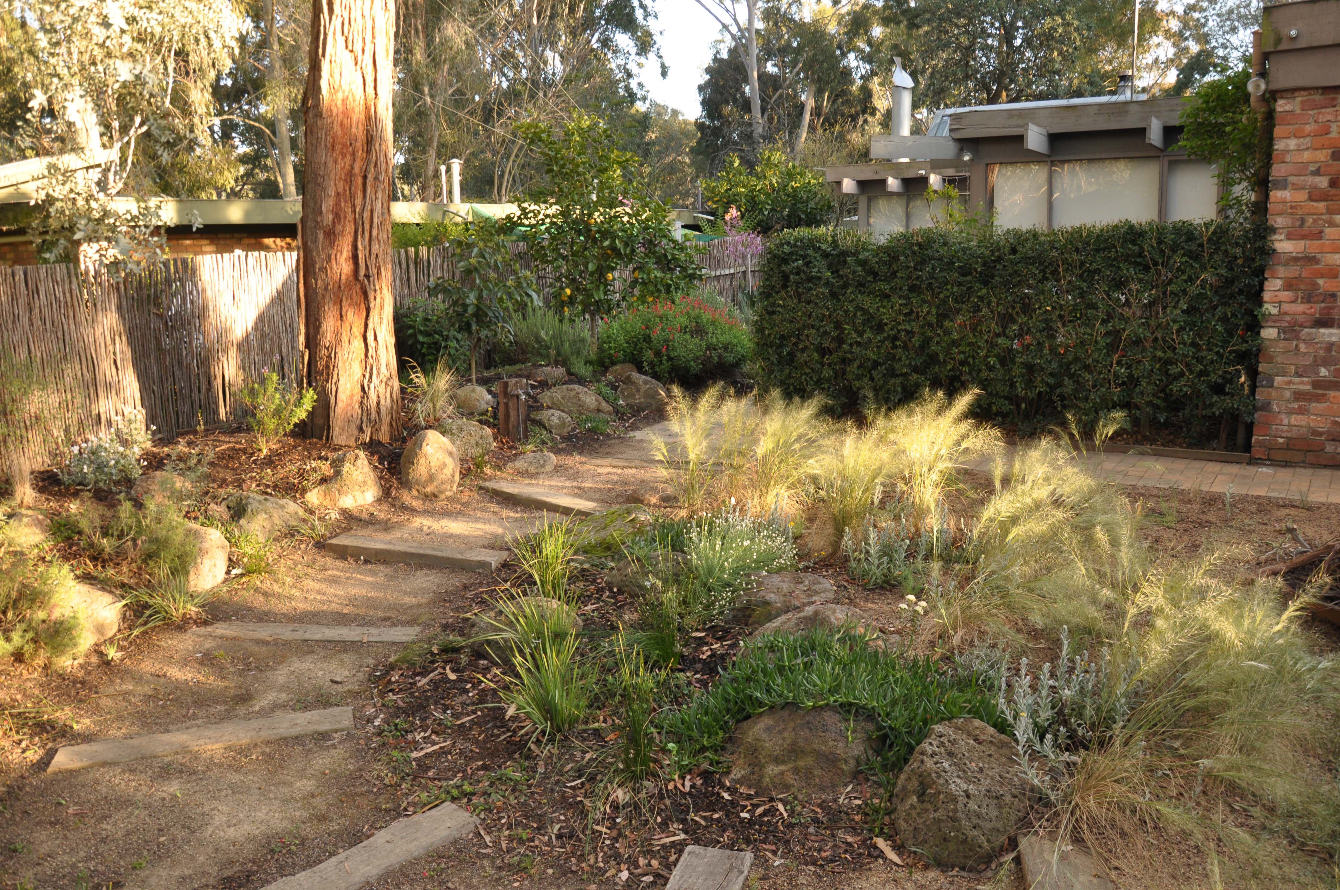 Indigenous garden designed by Crisfield Landscape Indigenous garden designed by Crisfield Landscape